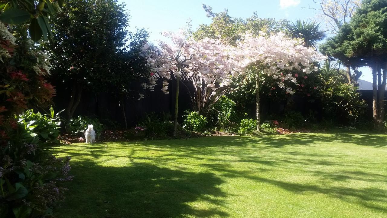 Berni'S Boutique Bnb Christchurch Zewnętrze zdjęcie